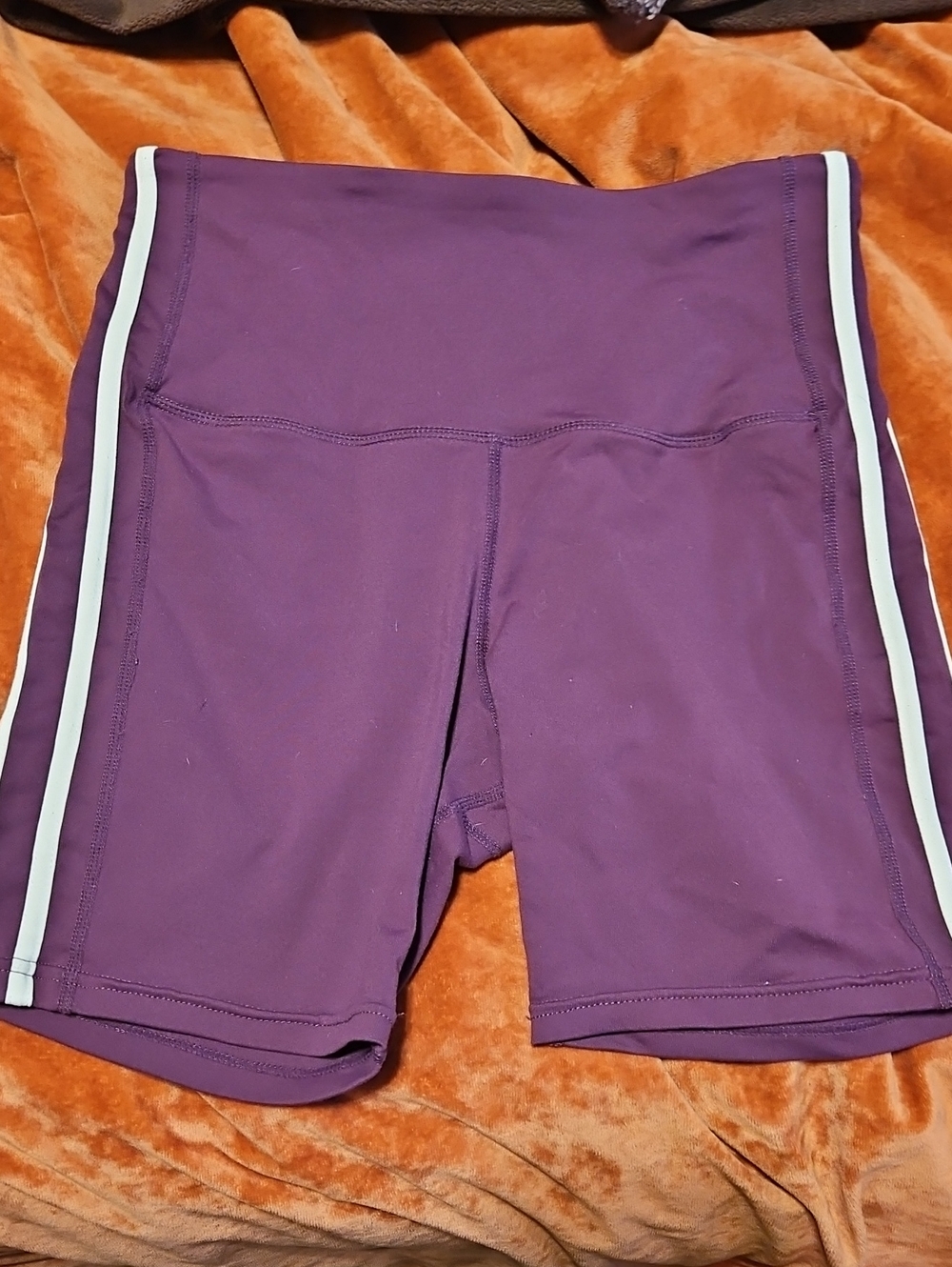 The Barbell Cartel High Waisted Shorts